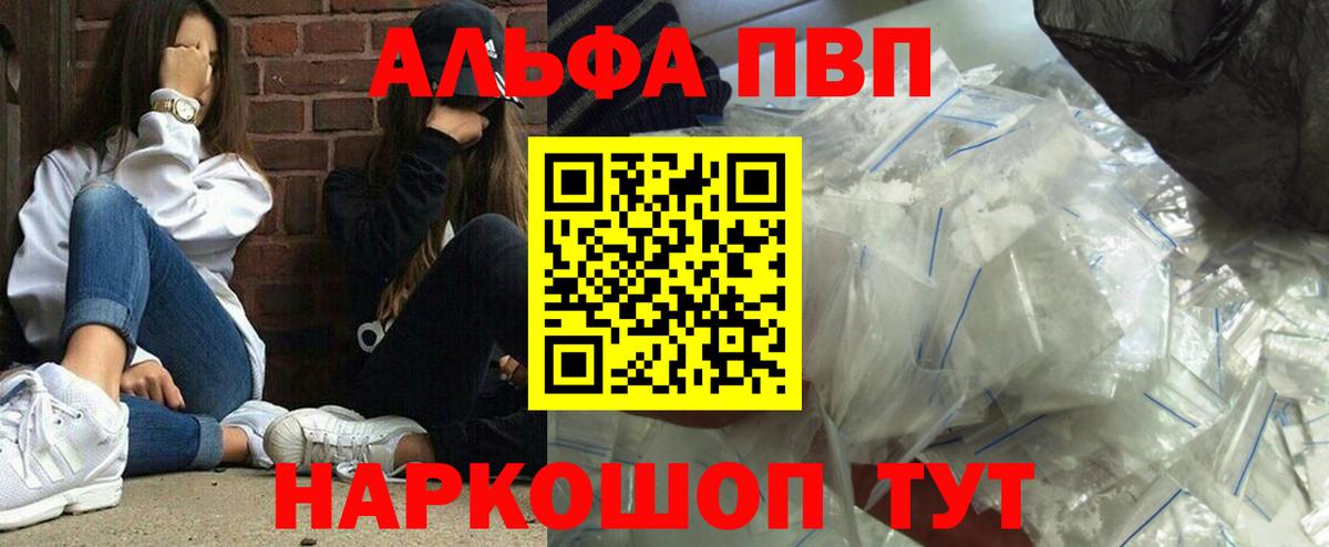 A PVP СК КРИС Котлас