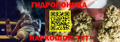 apvp Кимры